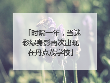 时隔一年，当迷彩绿身影再次出现在丹克茂学校