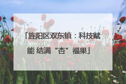 旌阳区双东镇：科技赋能 结满“杏”福果