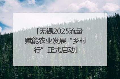 无锡2025流量赋能农业发展“乡村行”正式启动