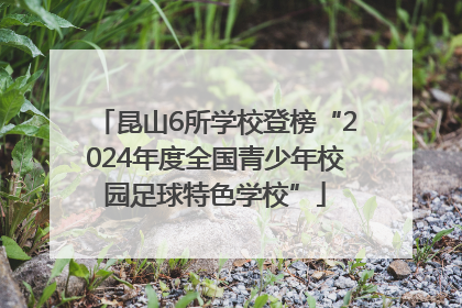 昆山6所学校登榜“2024年度全国青少年校园足球特色学校”