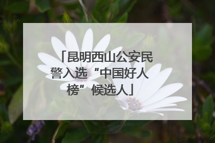 昆明西山公安民警入选“中国好人榜”候选人