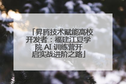 昇腾技术赋能高校开发者：福建江夏学院 AI 训练营开启实战进阶之路