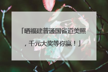 晒福建普通国省道美照，千元大奖等你赢！