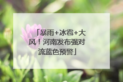 暴雨+冰雹+大风！河南发布强对流蓝色预警