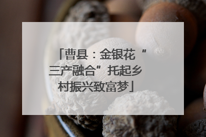 曹县：金银花“三产融合”托起乡村振兴致富梦