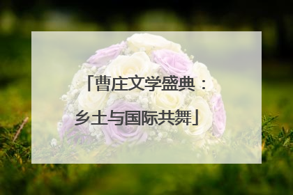 曹庄文学盛典：乡土与国际共舞