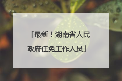 最新！湖南省人民政府任免工作人员