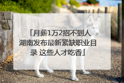 月薪1万2招不到人 湖南发布最新紧缺职业目录 这些人才吃香