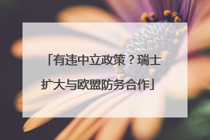 有违中立政策？瑞士扩大与欧盟防务合作