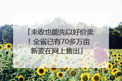 未收也能先以好价卖！全省已有70多万亩新麦在网上售出