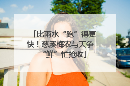 比雨水“跑”得更快！慈溪梅农与天争“鲜”忙抢收