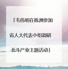 毛伟明在株洲参加省人大代表小组调研北斗产业主题活动