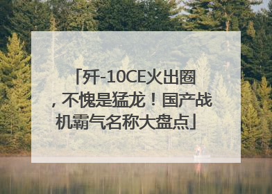 歼-10CE火出圈，不愧是猛龙！国产战机霸气名称大盘点