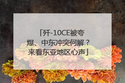 歼-10CE被夸爆、中东冲突何解？来看东亚地区心声