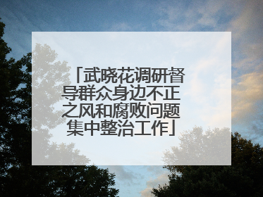 武晓花调研督导群众身边不正之风和腐败问题集中整治工作