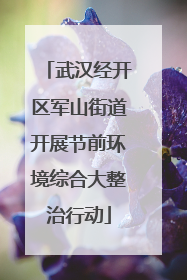 武汉经开区军山街道开展节前环境综合大整治行动