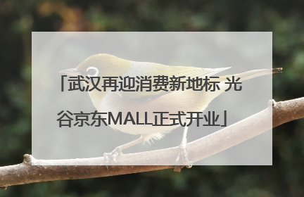 武汉再迎消费新地标 光谷京东MALL正式开业