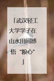 武汉轻工大学学子在山水田间感悟“粮心”