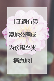 武钢有限湿地公园成为珍稀鸟类栖息地