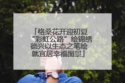 格桑花开迎初夏 “彩虹公路”绘锦绣 德兴以生态之笔绘就宜居幸福图景