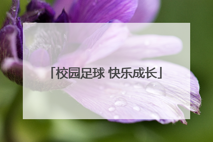 校园足球 快乐成长