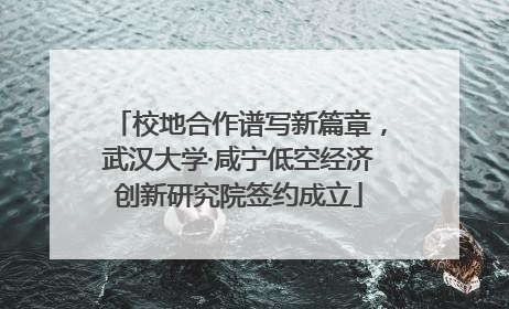 校地合作谱写新篇章，武汉大学·咸宁低空经济创新研究院签约成立