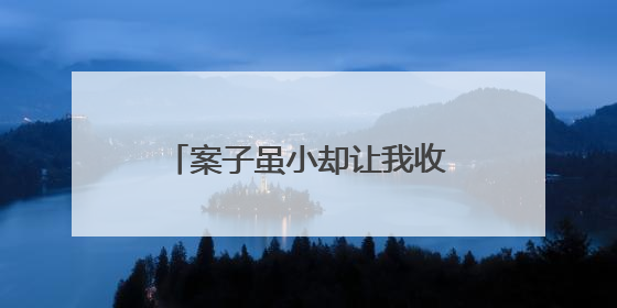 案子虽小却让我收获满满的成就感