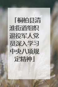 桐柏县清淮街道组织退役军人党员深入学习中央八项规定精神