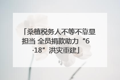 桑植税务人不等不靠显担当 全员捐款助力“6·18”洪灾重建