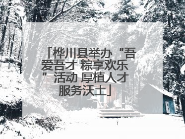桦川县举办“吾爱吾才 粽享欢乐”活动 厚植人才服务沃土