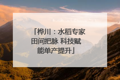 桦川：水稻专家田间把脉 科技赋能单产提升