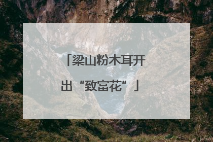 梁山粉木耳开出“致富花”