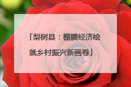 梨树县：棚膜经济绘就乡村振兴新画卷