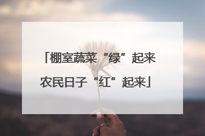 棚室蔬菜“绿”起来 农民日子“红”起来