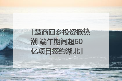楚商回乡投资掀热潮 端午期间超60亿项目签约湖北
