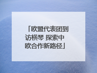 欧盟代表团到访横琴 探索中欧合作新路径