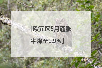 欧元区5月通胀率降至1.9%