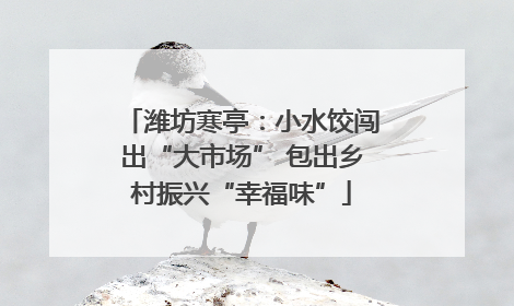 潍坊寒亭：小水饺闯出“大市场” 包出乡村振兴“幸福味”