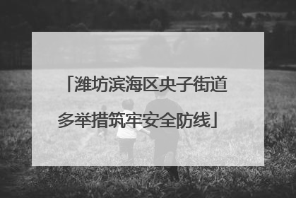 潍坊滨海区央子街道多举措筑牢安全防线