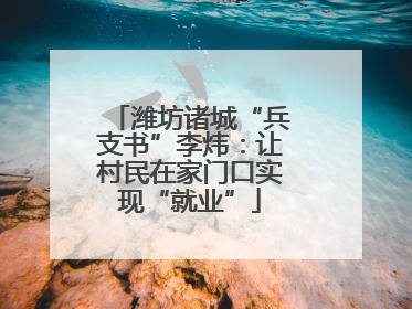潍坊诸城“兵支书”李炜：让村民在家门口实现“就业”
