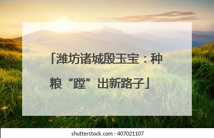 潍坊诸城殷玉宝：种粮“蹚”出新路子