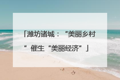 潍坊诸城：“美丽乡村”催生“美丽经济”