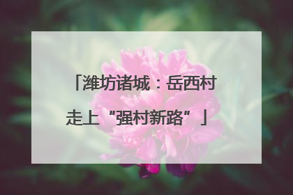 潍坊诸城：岳西村走上“强村新路”