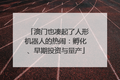澳门也凑起了人形机器人的热闹：孵化、早期投资与量产