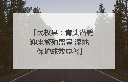 民权县：青头潜鸭迎来繁殖盛景 湿地保护成效显著