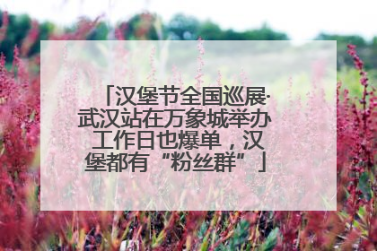 汉堡节全国巡展·武汉站在万象城举办 工作日也爆单，汉堡都有“粉丝群”