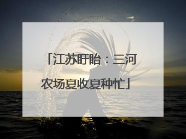 江苏盱眙：三河农场夏收夏种忙