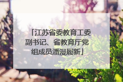 江苏省委教育工委副书记、省教育厅党组成员潘漫履新