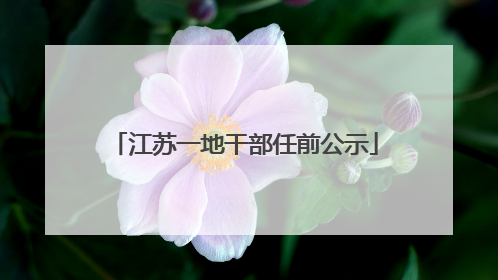 江苏一地干部任前公示