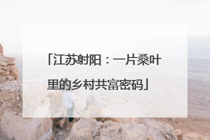 江苏射阳：一片桑叶里的乡村共富密码